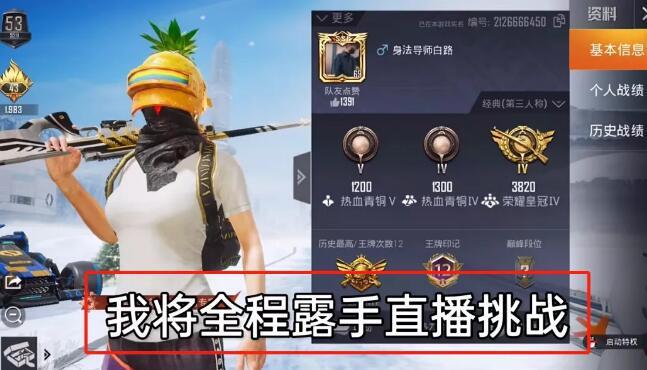 和平精英《向日葵》外挂